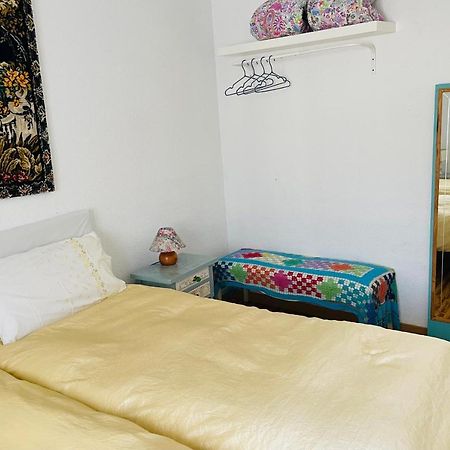 Piso Junto Universidad Y Hospital Clinico サラゴサ エクステリア 写真